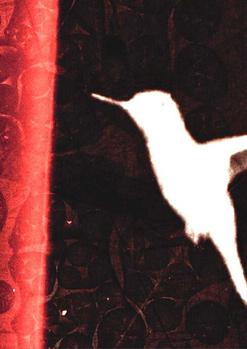 Curts Internacionals I: SOCIALS (102')