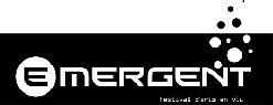 FESTIVAL EMERGENT 2025