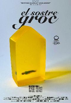 CINEMA CICLE GAUDI - "EL SOSTRE GROC" d'Isabel Coixet