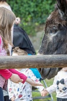 Visiteu la granja en família