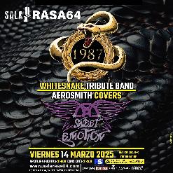 WHITESNAKE TRIBUTE BAND+ AEROSMITH COVERS