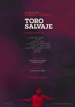 Toro salvaje