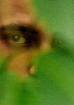 Trembling Visions - Jaguars, Bestiari, INCOMPLT