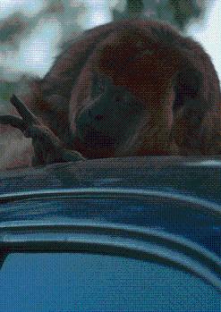 [FIDMarseille x Zumzeig] Los cruces