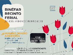 LOS MAMBO JAMBO ARKESTRA
