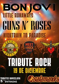 LITTLE RUNAWAYS + NIGHTRAIN TO PARADISE (Tribut)