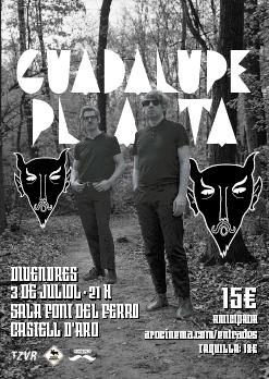 Guadalupe Plata