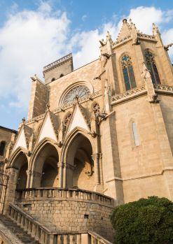 Entrada individual a la basílica de la Seu de Manresa