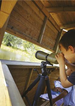 Visita Naturalista al Parc dels Estanys