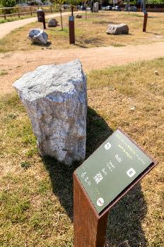 Visita geològica al Jardí de Roques
