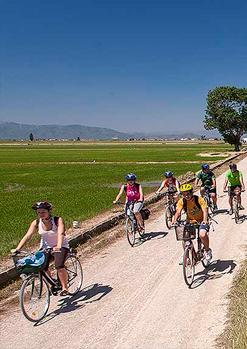 Sortida al Delta de l'Ebre (passeig en bicicleta Ruta Mitjorn, caiac per l'Illa de Gràcia i excursió en barcaper l'Illa de Buda)