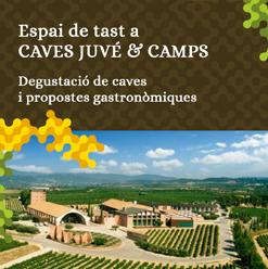 ESPAI CAVES JUVÉ & CAMPS