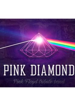 TRIBUT A PINK FLOID