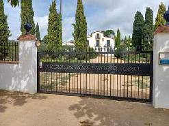 UN MATÍ D'IL·LUSIÓ