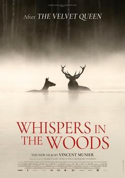 Whispers in the woods