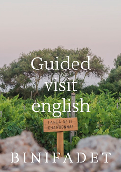 Guided visit in English