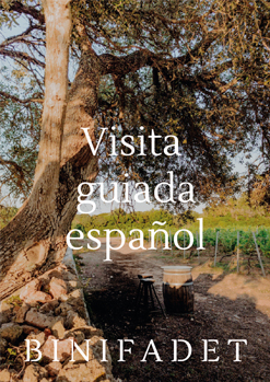 Visita guiada en Español