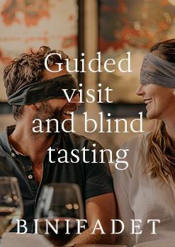 Guided visit and blind tasting in English