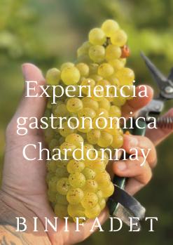 EXPERIENCIA GASTRONÓMICA CHARDONNAY