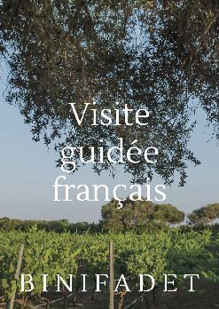 Visite guidée en français