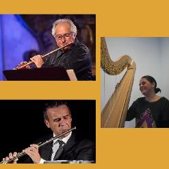 L'orquestra i els solistes. Concert per flauta i arpa de Mozart