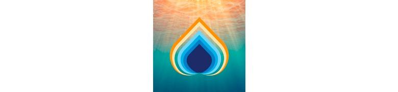 WATER PRAYER GATHERING: PRESENTA