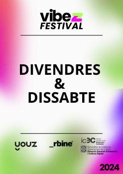 Abonament Vibez Festival 2024