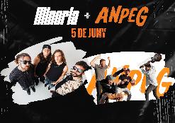 Ampeg + Minoria