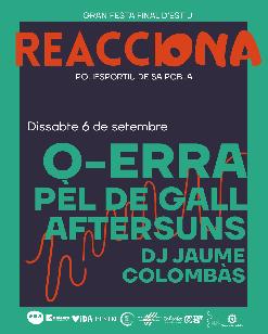 DISSABTE 6 - ENTRADA DE DIA - FESTIVAL REACCIONA
