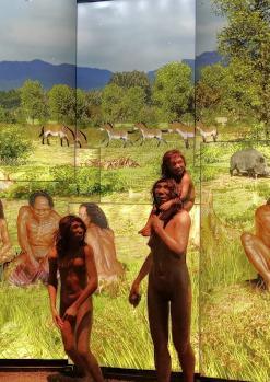 Visita guiada públic general