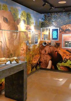 Visita guiada públic familiar