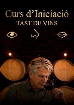Curs de Vins 2026