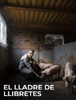 El lladre de llibretes